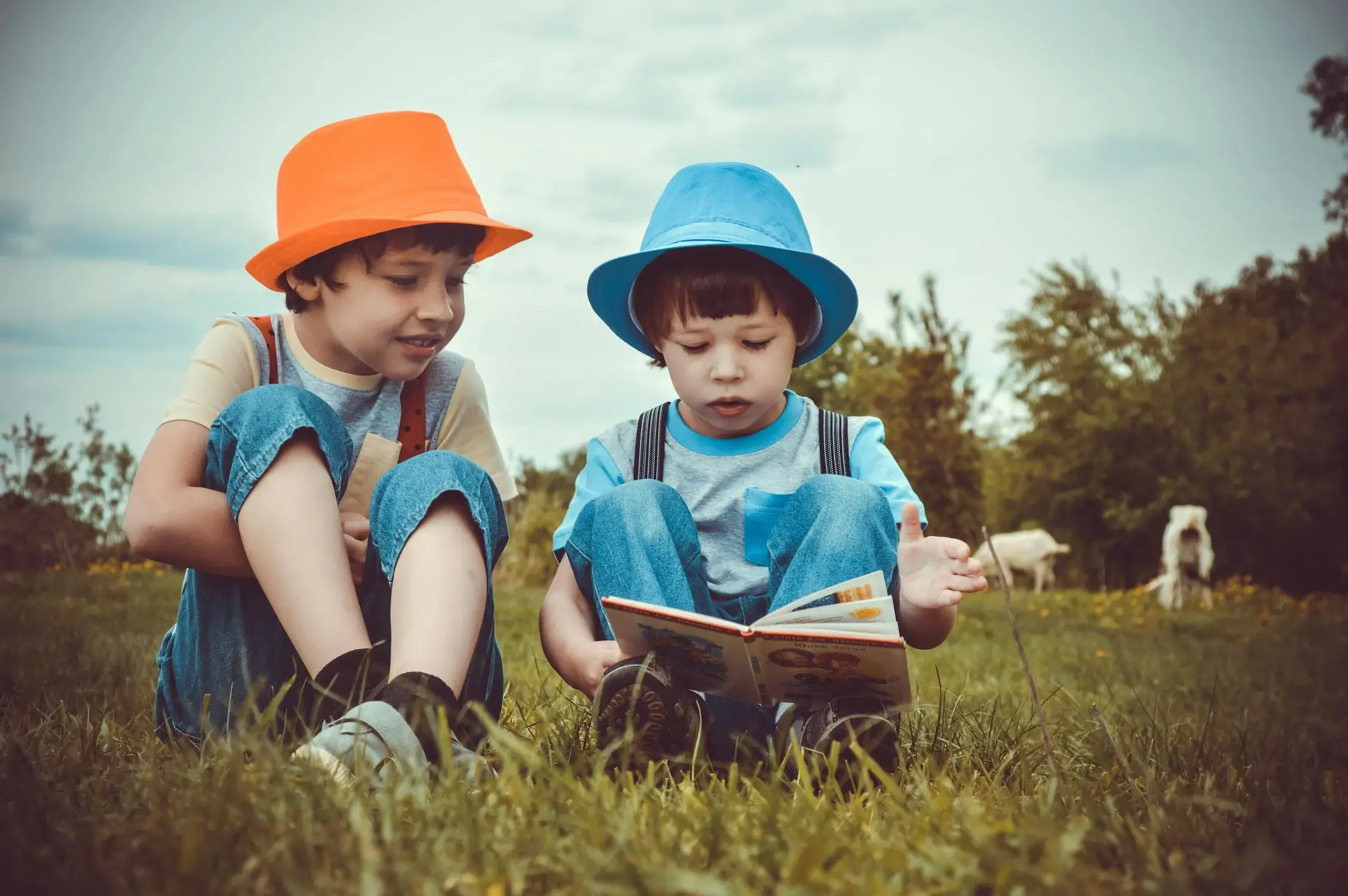 Early Readers Phonics Course